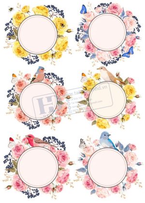 Flower, Frames, Vector Bông Hoa, Vòng Hoa 44