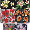 Flower, Frames, Vector Bông Hoa, Vòng Hoa 5