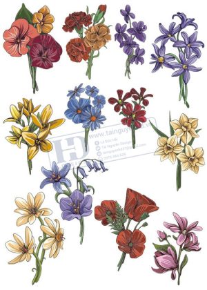 Flower, Frames, Vector Bông Hoa, Vòng Hoa 51