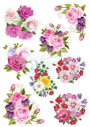 Flower, Frames, Vector Bông Hoa, Vòng Hoa 53