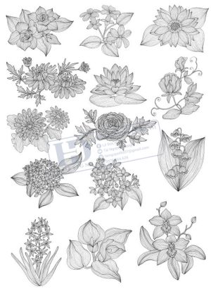 Flower, Frames, Vector Bông Hoa, Vòng Hoa 54
