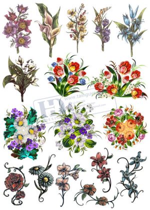 Flower, Frames, Vector Bông Hoa, Vòng Hoa 55