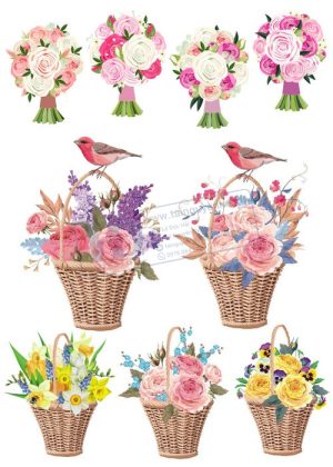 Flower, Frames, Vector Bông Hoa, Vòng Hoa 56