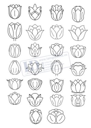 Flower, Frames, Vector Bông Hoa, Vòng Hoa 63