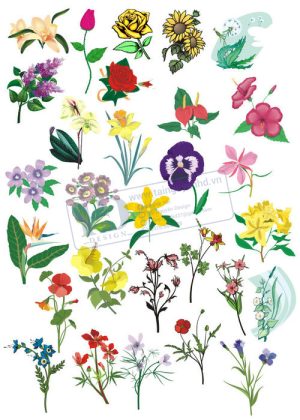 Flower, Frames, Vector Bông Hoa, Vòng Hoa 64
