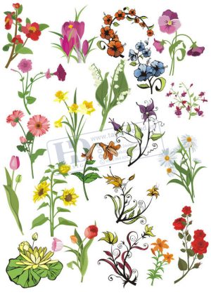 Flower, Frames, Vector Bông Hoa, Vòng Hoa 65