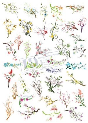 Flower, Frames, Vector Bông Hoa, Vòng Hoa 67
