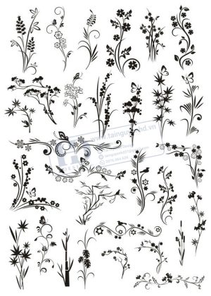 Flower, Frames, Vector Bông Hoa, Vòng Hoa 68