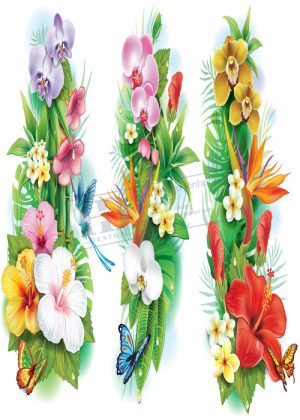 Flower, Frames, Vector Bông Hoa, Vòng Hoa 69
