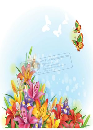 Flower, Frames, Vector Bông Hoa, Vòng Hoa 70