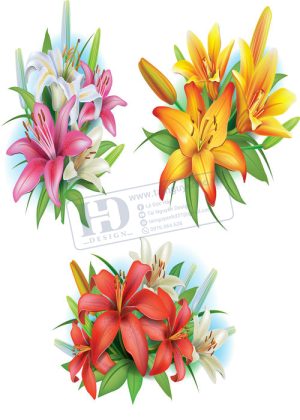 Flower, Frames, Vector Bông Hoa, Vòng Hoa 71