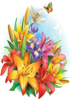 Flower, Frames, Vector Bông Hoa, Vòng Hoa 72