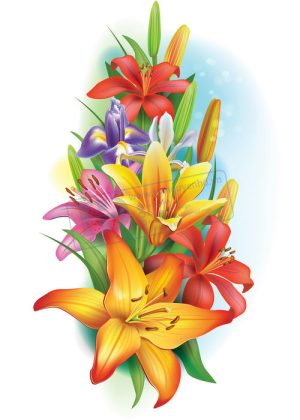 Flower, Frames, Vector Bông Hoa, Vòng Hoa 74