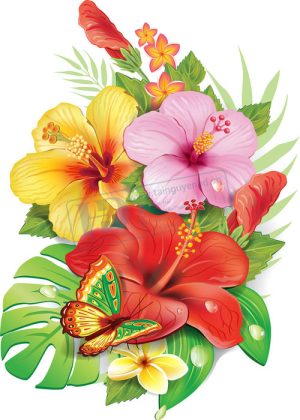 Flower, Frames, Vector Bông Hoa, Vòng Hoa 76