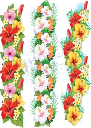Flower, Frames, Vector Bông Hoa, Vòng Hoa 78