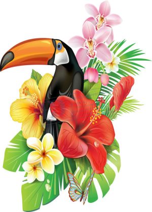 Flower, Frames, Vector Bông Hoa, Vòng Hoa 81