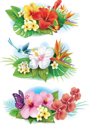 Flower, Frames, Vector Bông Hoa, Vòng Hoa 82