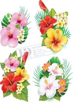 Flower, Frames, Vector Bông Hoa, Vòng Hoa 83