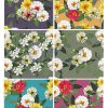 Flower, Frames, Vector Bông Hoa, Vòng Hoa 9