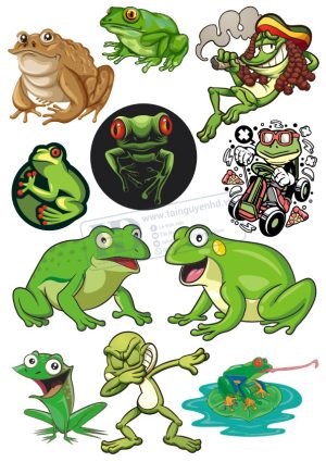 Frog, Chú Ếch Xanh, Vector Con Ếch (3)