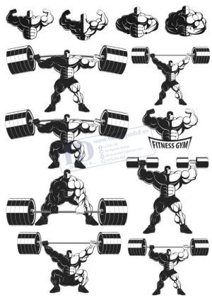 Gym Fitness, Vector Tập Gym 25