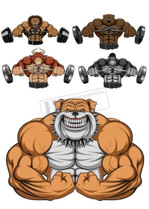 Gym Fitness, Vector Tập Gym 30