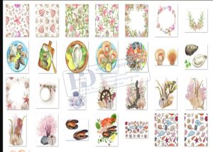 Hải Sản, Ngao, Sò, Ốc, Hến, Hàu PNG 10
