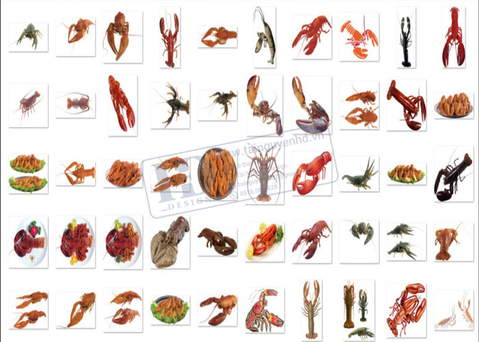 Hải Sản, Tôm Hùm, Tôm Biển, Con Tôm PNG