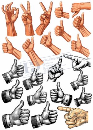 Hands, Vector Bàn Tay, Bắt Tay 1