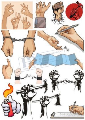 Hands, Vector Bàn Tay, Bắt Tay 12