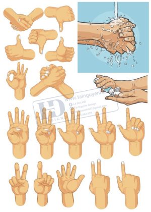 Hands, Vector Bàn Tay, Bắt Tay 13