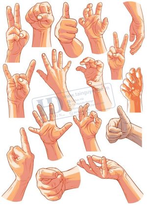 Hands, Vector Bàn Tay, Bắt Tay 15