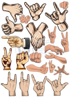 Hands, Vector Bàn Tay, Bắt Tay 17