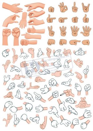 Hands, Vector Bàn Tay, Bắt Tay 21