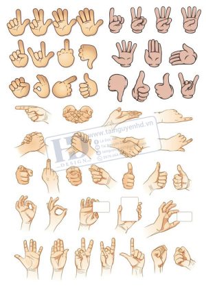 Hands, Vector Bàn Tay, Bắt Tay 22