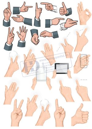 Hands, Vector Bàn Tay, Bắt Tay 25