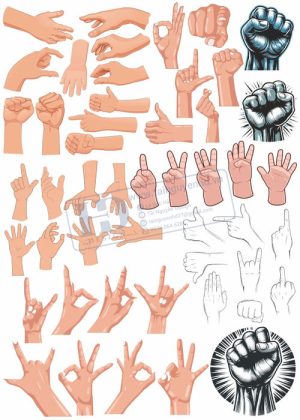 Hands, Vector Bàn Tay, Bắt Tay 4