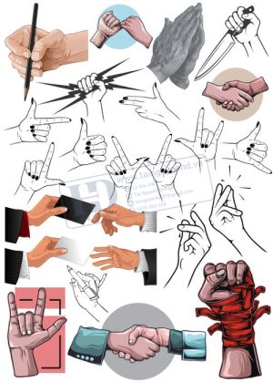 Hands, Vector Bàn Tay, Bắt Tay 5
