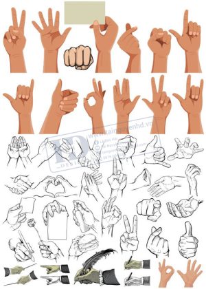 Hands, Vector Bàn Tay, Bắt Tay 6