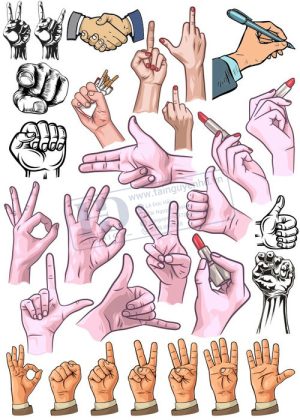 Hands, Vector Bàn Tay, Bắt Tay 8