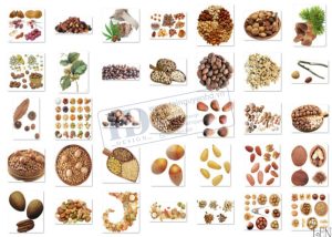 Hạt Lạc, Hạnh Nhân, Hạt Sen, Ngũ Cốc PNG 1