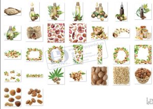 Hạt Lạc, Hạnh Nhân, Hạt Sen, Ngũ Cốc PNG 2