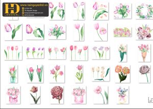 Hoa Tulip, Bông Hoa Tách Nền 3