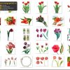 Hoa Tulip, Bông Hoa Tách Nền 7