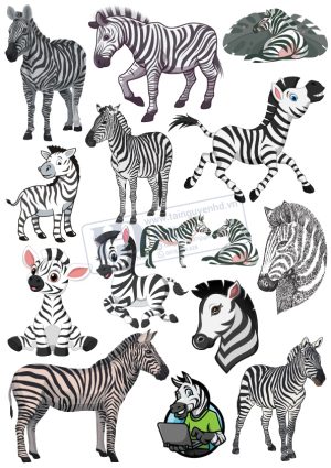 Horse, Con Ngựa, Vector Con Ngựa (14)