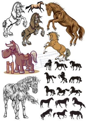Horse, Con Ngựa, Vector Con Ngựa (7)