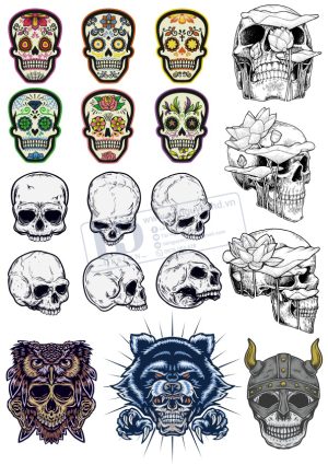 Kull, Đầu Lâu, Vector Đầu Lâu (10)