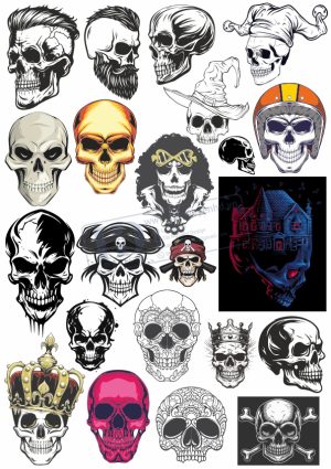 Kull, Đầu Lâu, Vector Đầu Lâu (2)