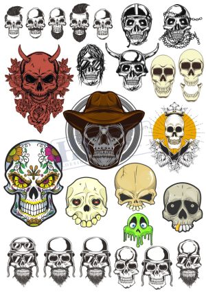 Kull, Đầu Lâu, Vector Đầu Lâu (23)