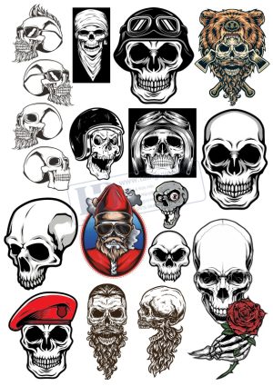 Kull, Đầu Lâu, Vector Đầu Lâu (24)